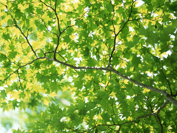 20130524151618610.jpg