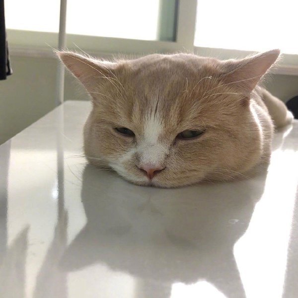 20191022230123469.jpg