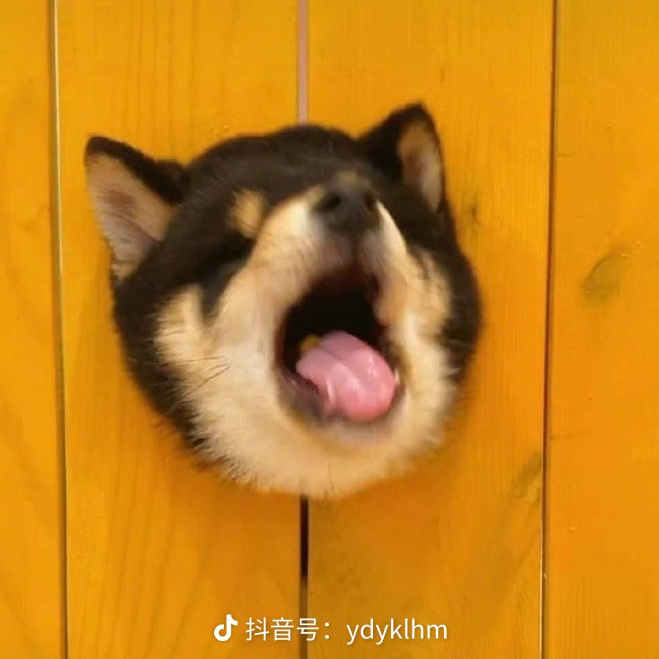 20210807185024845.jpeg